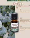 Eucalyptus Oil