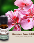 Geranium Oil