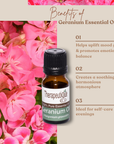 Geranium Oil