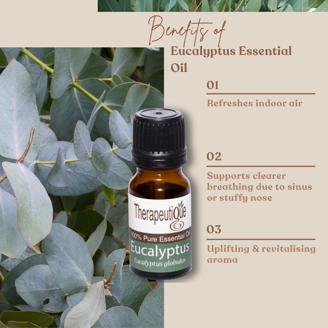 Eucalyptus Oil