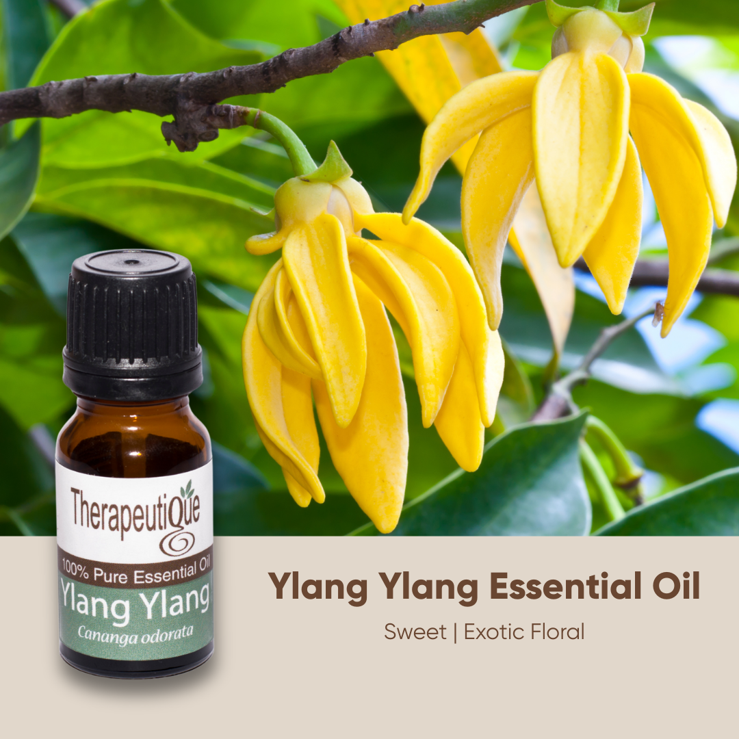 Ylang Ylang
