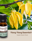 Ylang Ylang